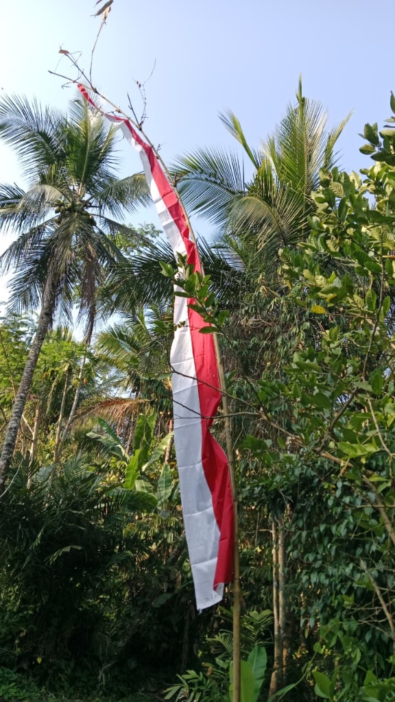 Pemasangan Umbul-Umbul Dusun Krajan oleh KKN-PPM UGM 2026